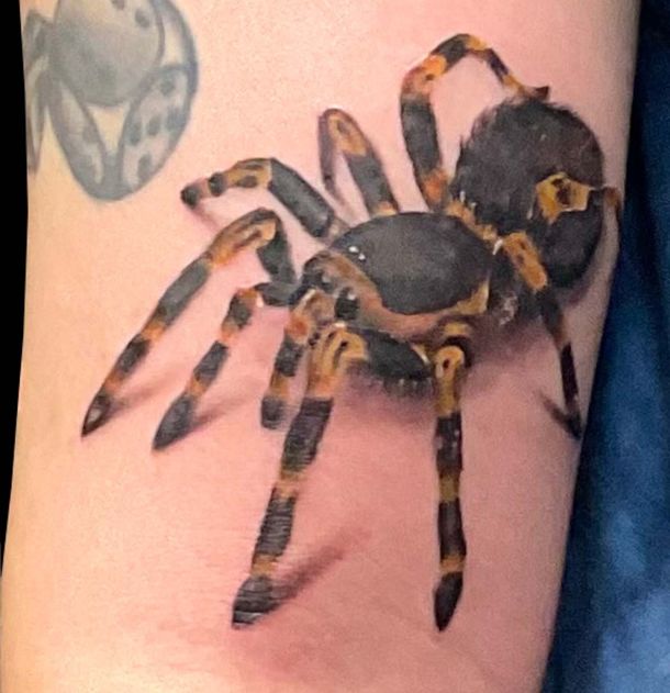 Spinne Tattoo